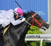 Won't Stop<br>Photo by Singapore Turf Club